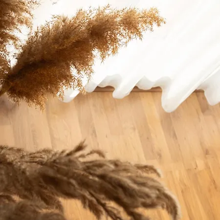 Art Vista * 地拉那